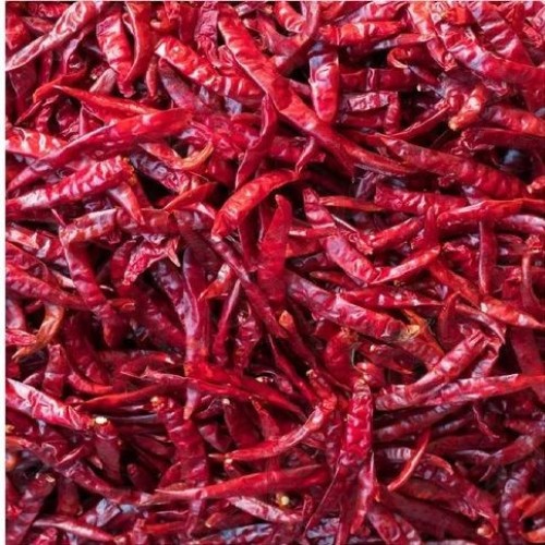 Red dried chili pepper