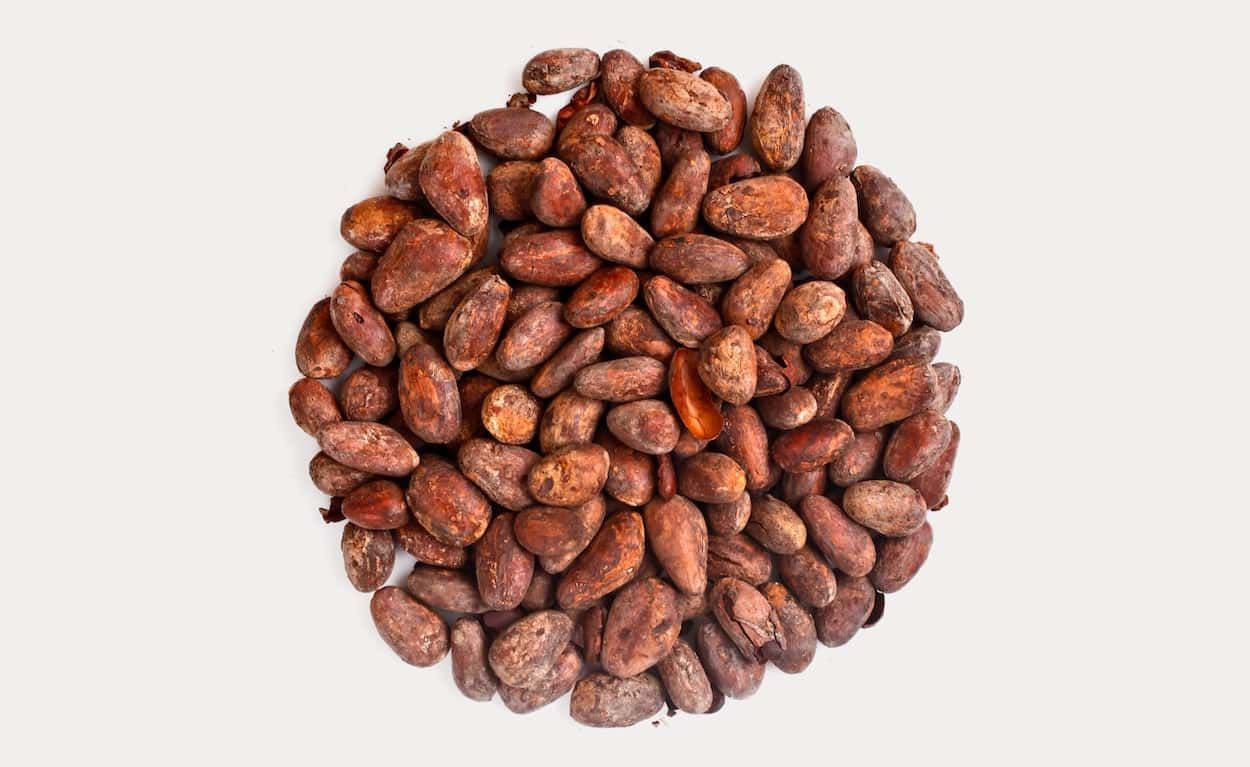 Best Quality Sun Dried Cocoa Beans For Sale