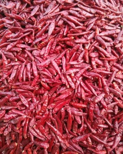 Red dried chili pepper