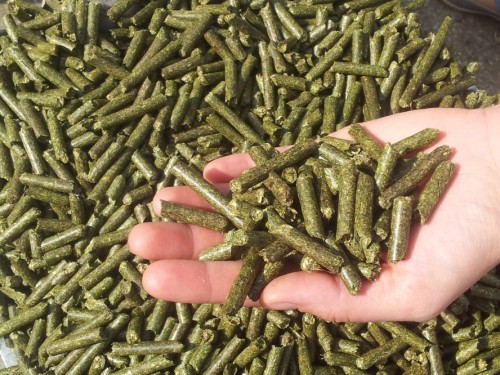 Alfalfa Pellets