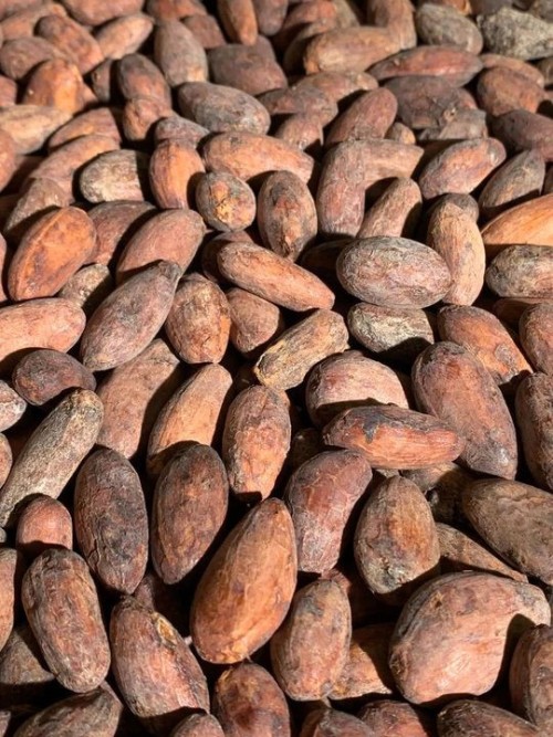 Cocoa Beans