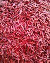 Dried Red Chilli