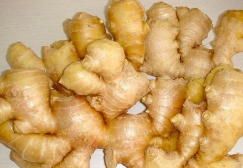 Fresh Ginger