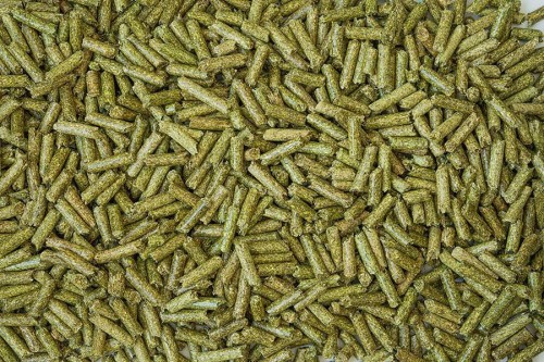 Alfalfa Pellets